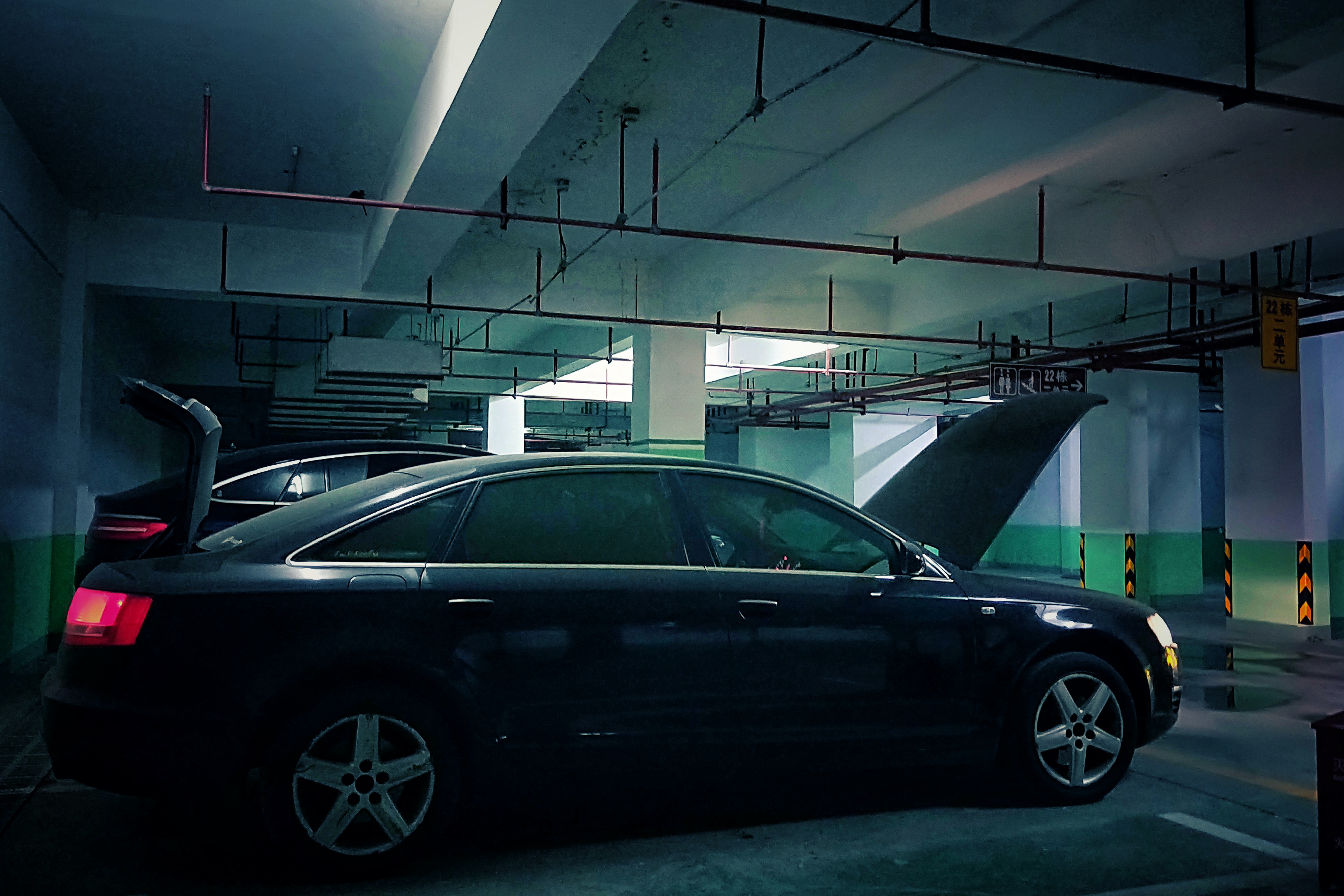 31EE3C5A-DB70-4CDB-8BFF-B24729BCF858.jpeg