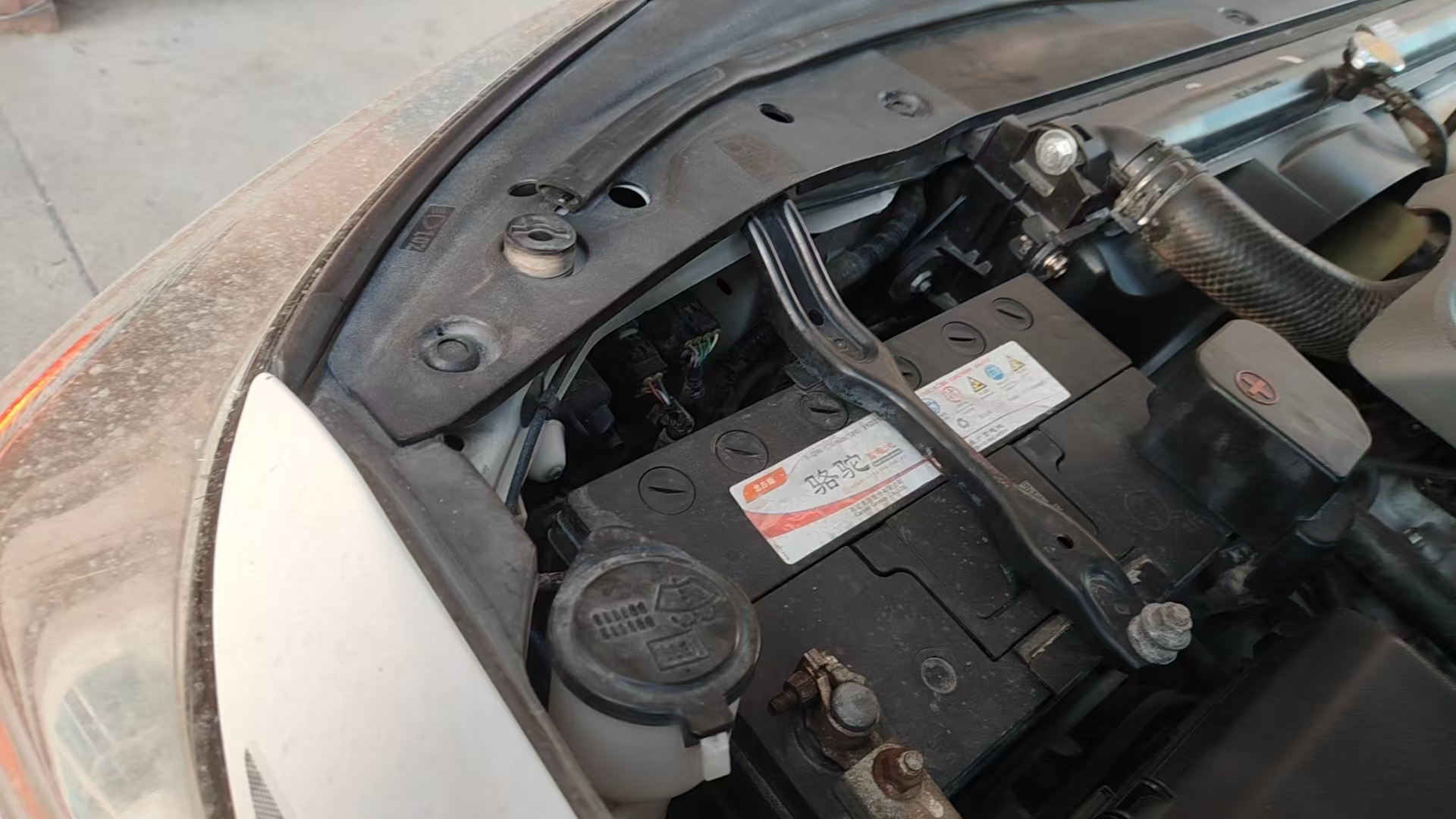 mmexport1745150726056.jpg